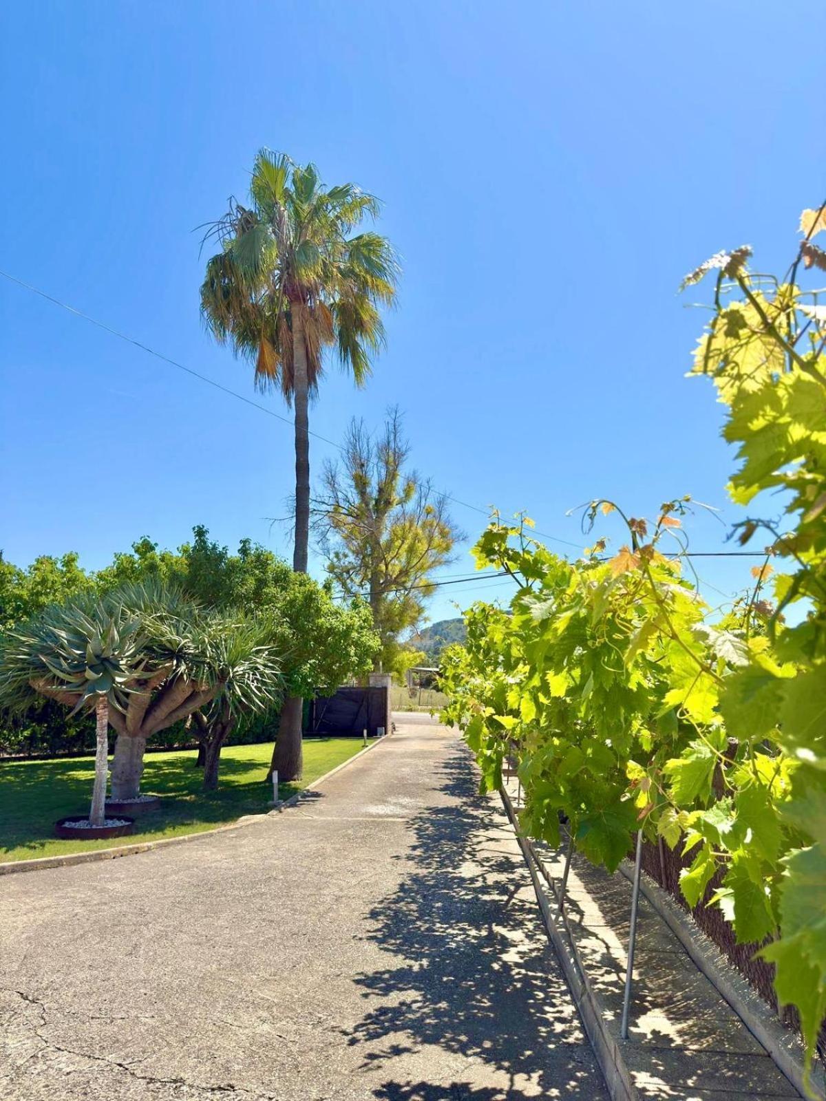 Holiday home Sa Figuera Roja Alcudia (Mallorca)